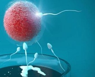 美国正规试管婴儿费用多少钱？成功率咋样？